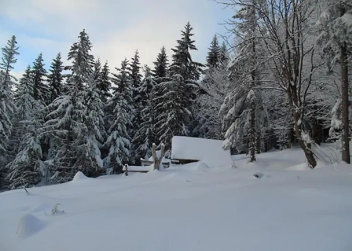 Haus Waldesruh