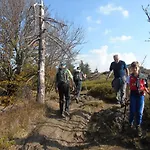 Haus Waldesruh Gasthof 3*